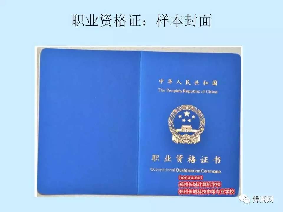 求职直通车（第五十二期）茂名人社送温暖·2026年百日千万招聘专项活动(图1)